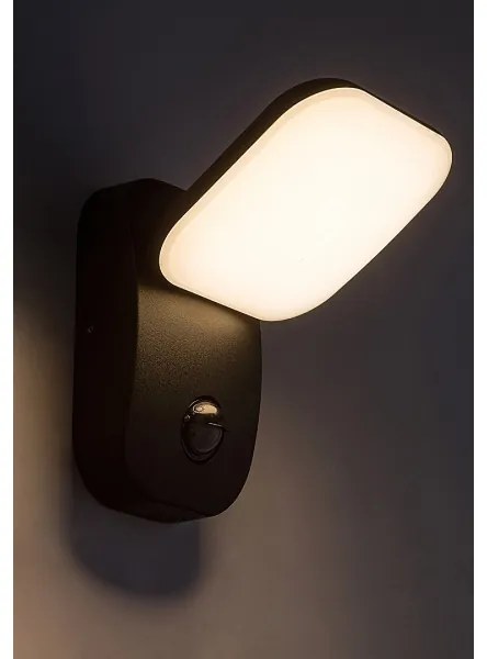 Rabalux 77058-LED Vonkajšie nástenné svietidlo so senzorom ODIEL LED/12W/230V IP44