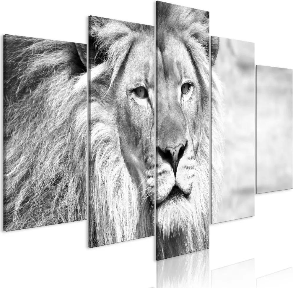 Obraz - The King of Beasts (5 Parts) Wide Black and White 200x100