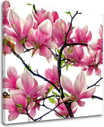 Obraz na stenu KVETY XOBKV132E12 - 40x40 cm