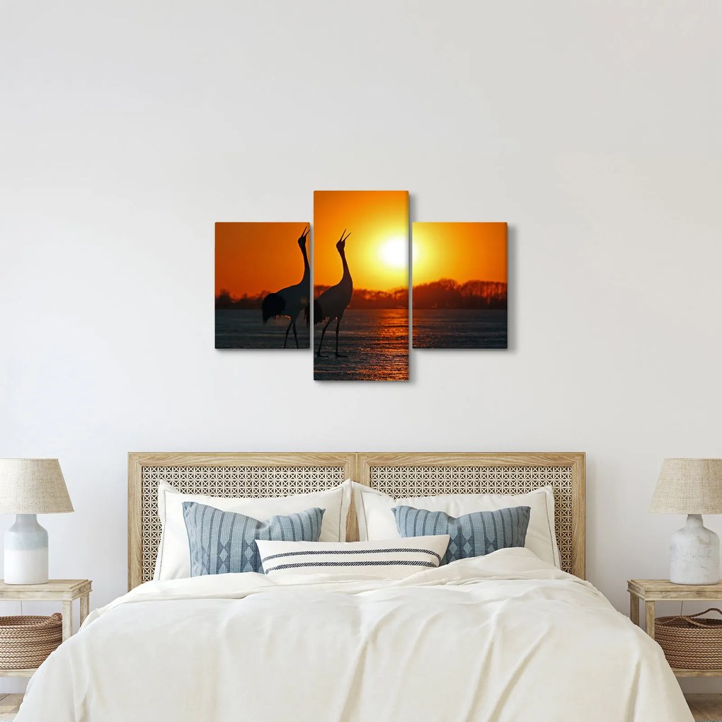 Obraz vtákov pri západe slnka (90x60 cm)