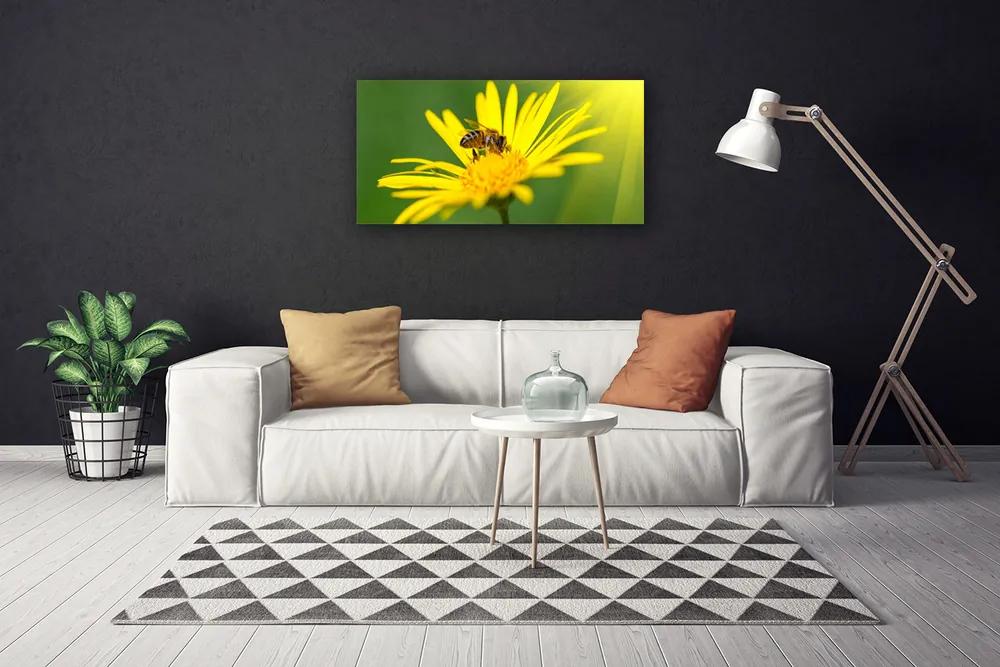 Obraz Canvas Osa kvet rastlina príroda 120x60 cm