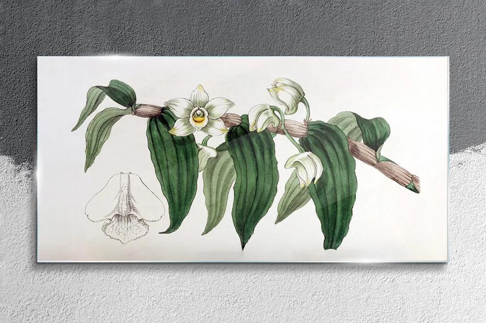 Skleneny obraz Kreslenie kvetinové konáre orchidey