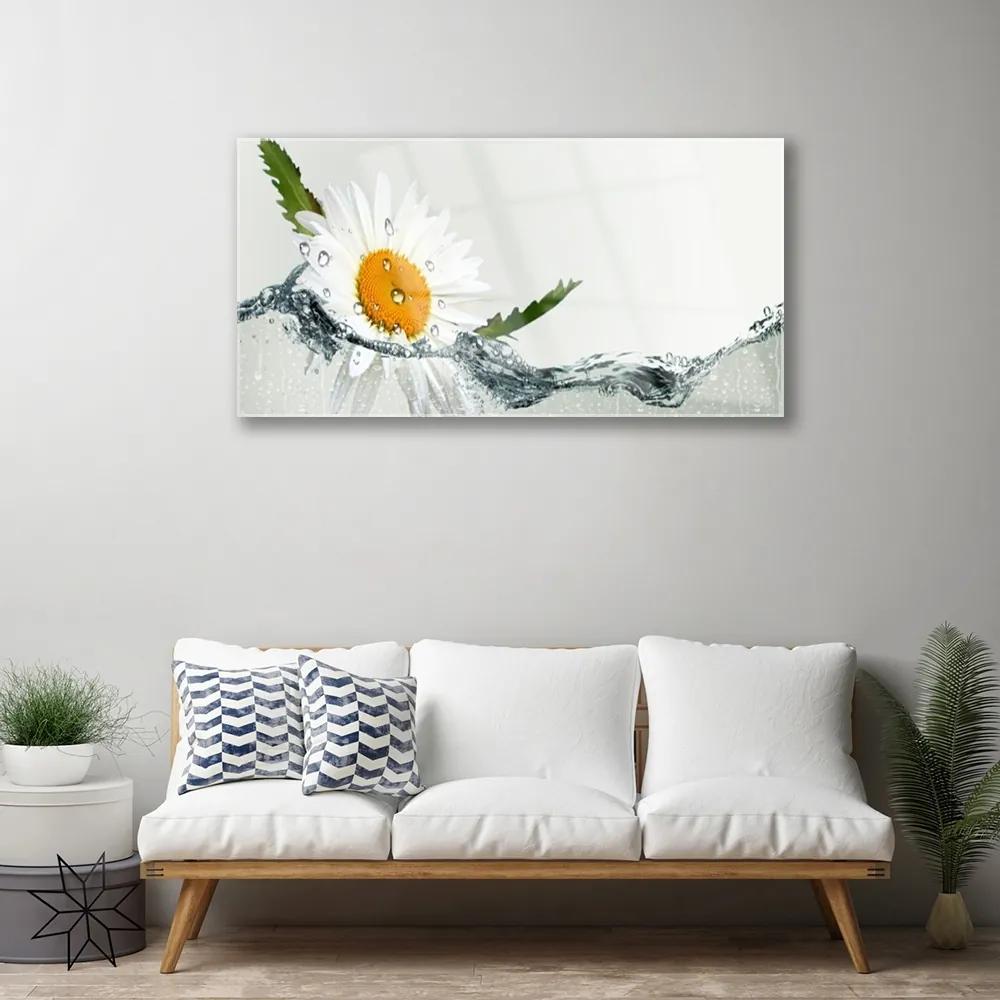 Skleneny obraz Sedmokráska vo vode 125x50 cm