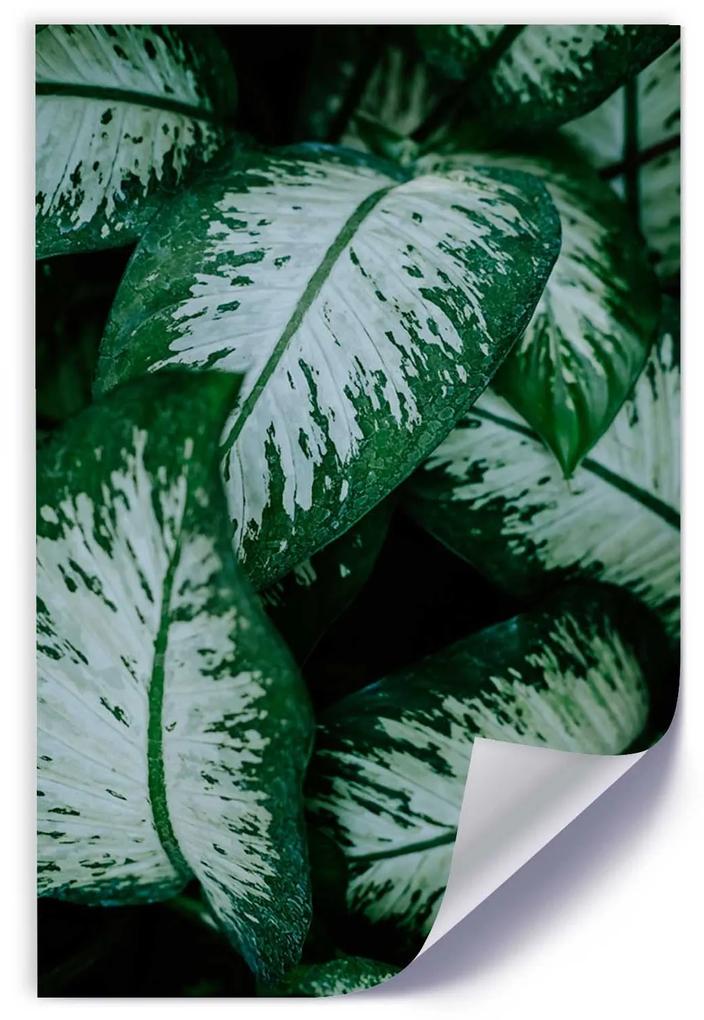 Gario Plagát Zelené tropické rastliny Farba rámu: Bez rámu, Rozmery: 30 x 45 cm