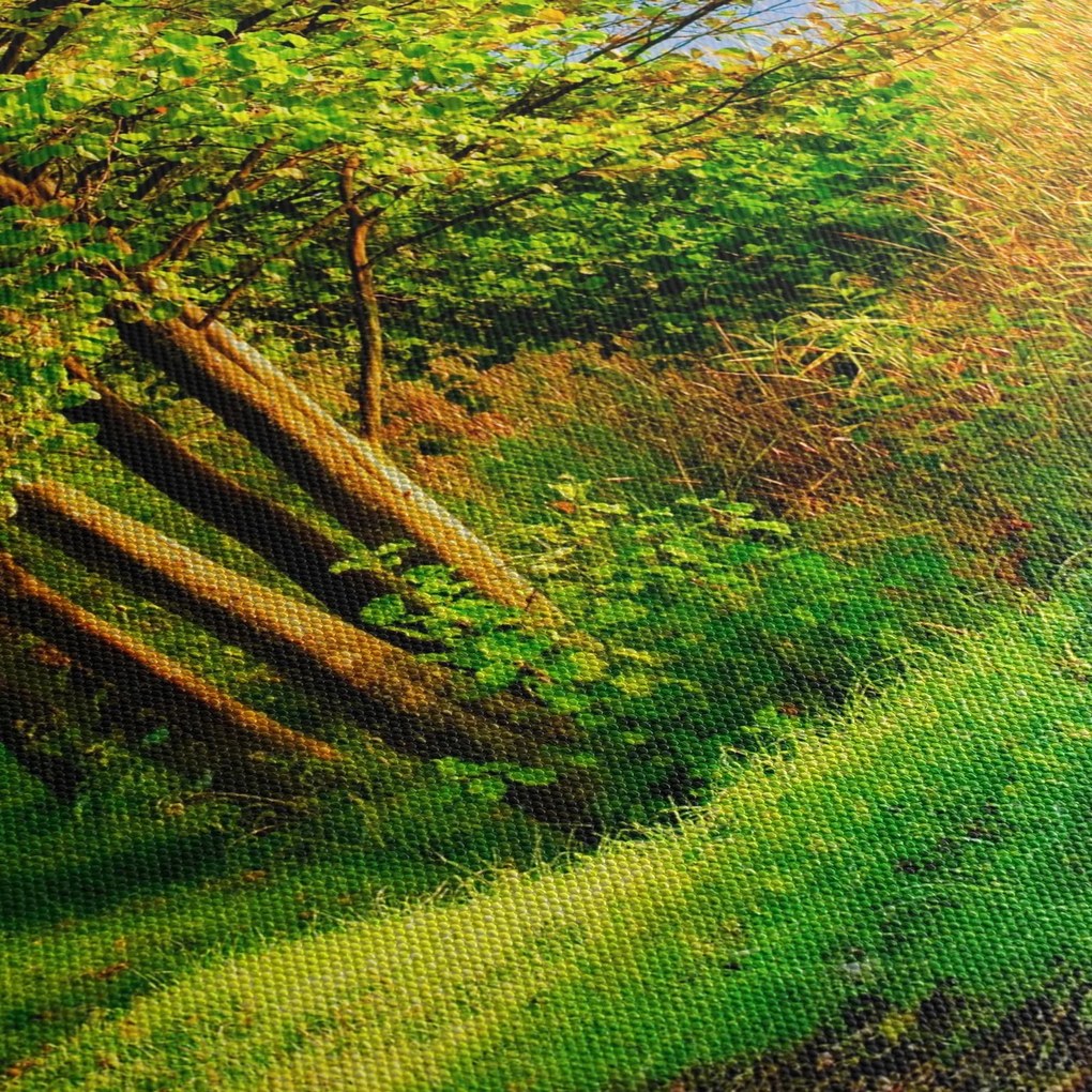 Obraz chodníky pozdĺž vody (150x105 cm)