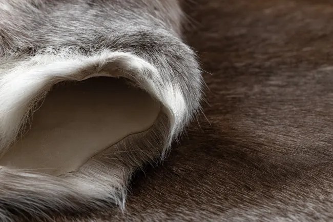 Koberec RENIFER POK014 hnedý / sivý