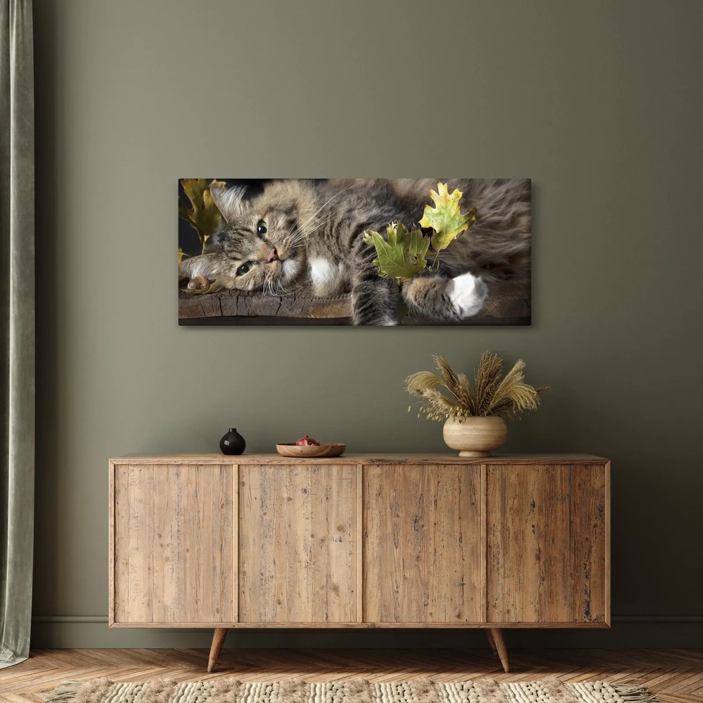 Obraz - Ležiaca mačka (120x50 cm)