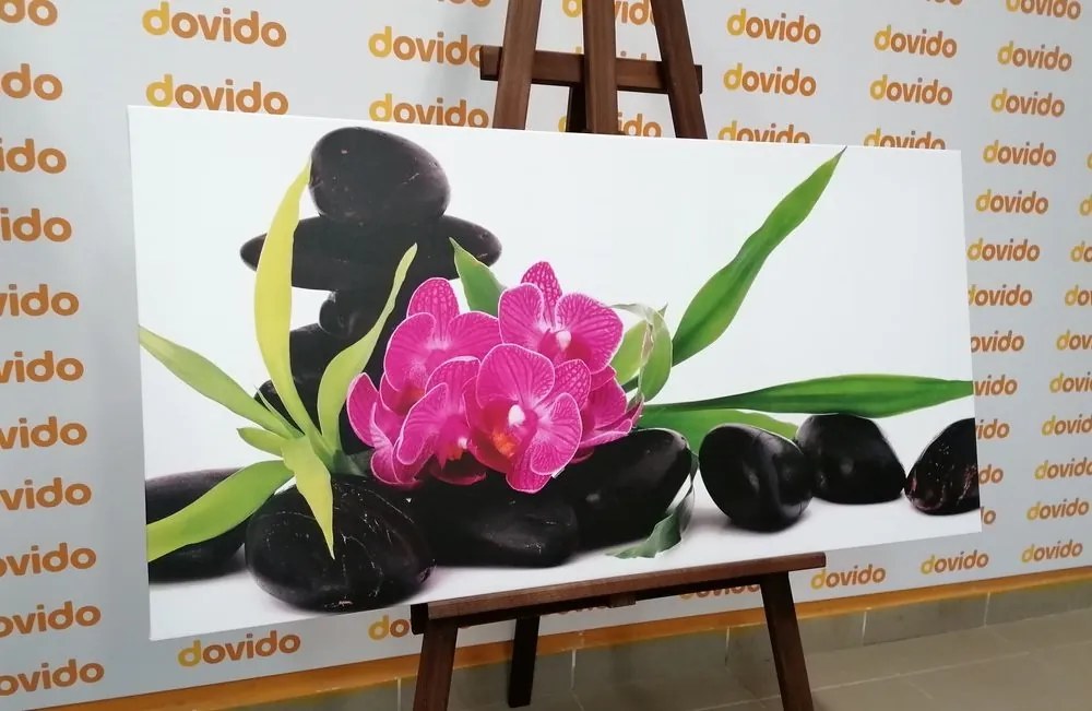 Obraz fialová orchidea v Zen zátiší - 100x50