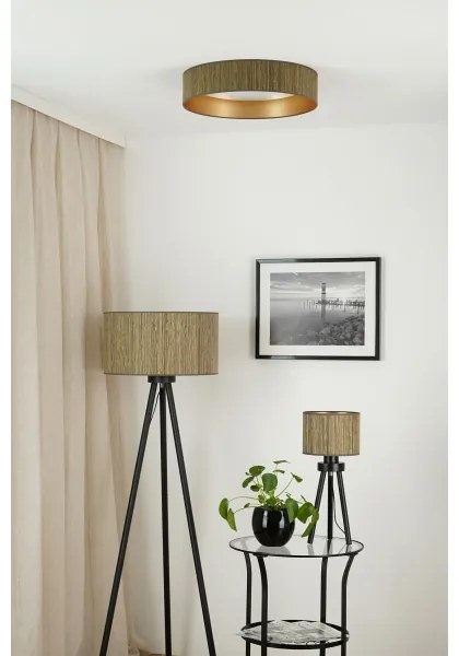 Brilagi - LED stmievateľné svietidlo VEGAS SHINE LED/24W/230V hnedá/zlatá + diaľkové ovládanie