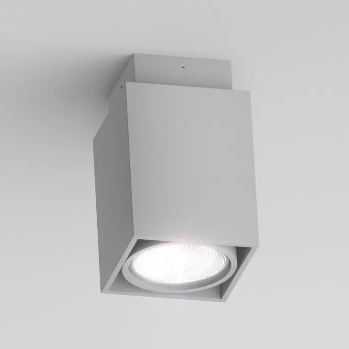 RENDL R10164 EX prisadené svietidlo, downlight striebornosivá