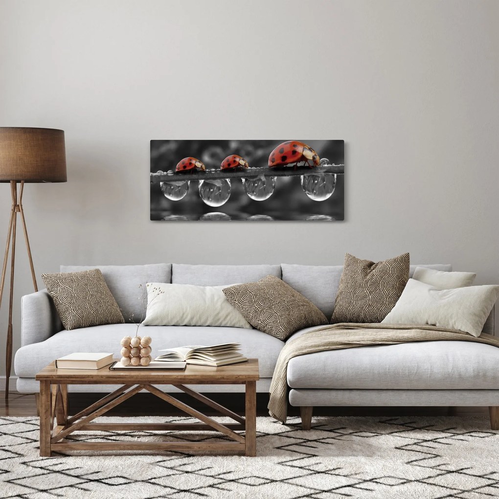 Obraz - Lienka sedembodková, čiernobiela (120x50 cm)