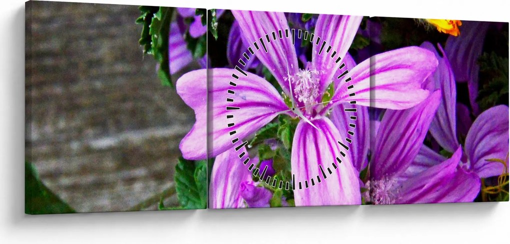 Obraz - lúčne kvety (s hodinami) (90x30 cm)