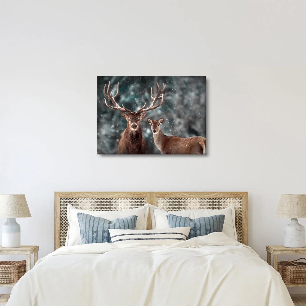 Obraz - Jeleň a laň v zasneženom lese (70x50 cm)