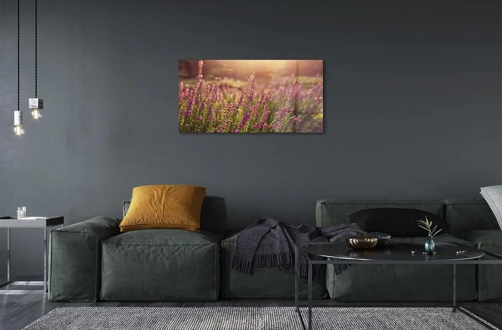Sklenený obraz heather pole 100x50 cm