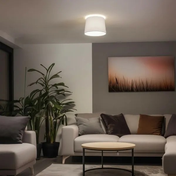 Brilagi - LED Prisadený luster CERIA 1xE27/40W/230V pr. 30 cm biela