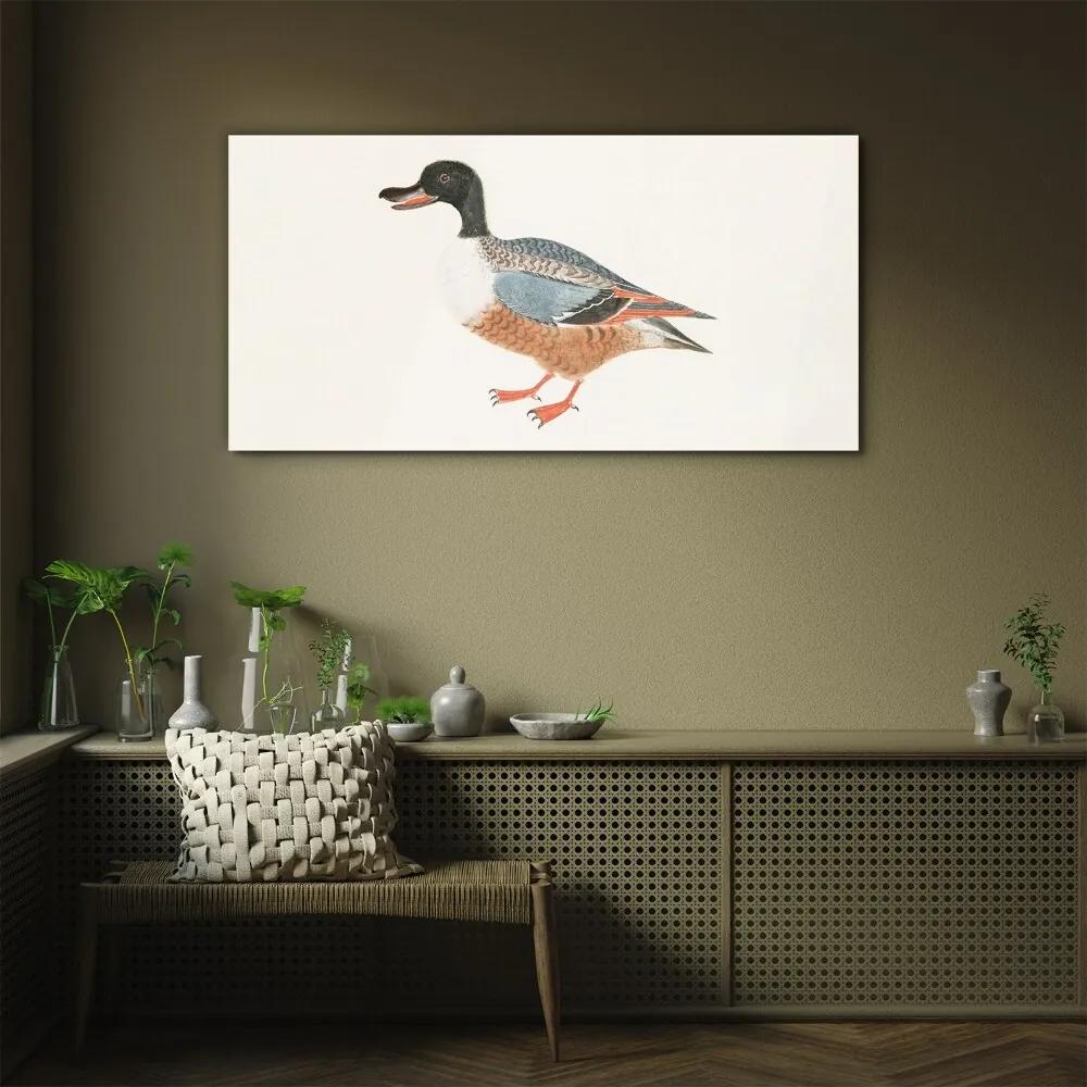 Obraz na skle Kreslenie zvierat kačica pera