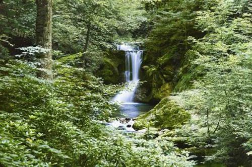 Fototapety, rozmer 366 x 254 cm, Waterfall in Spring, W+G 279