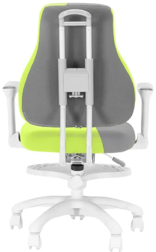 Detská rastúca stolička Neoseat KINDER WHITE PLUS — látka, šedá / zelená