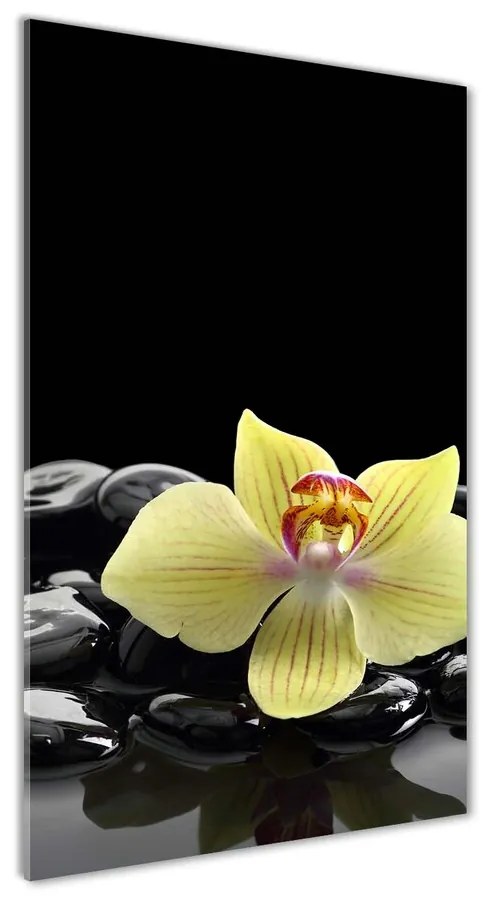 Foto obraz akrylový Orchidea a kamene pl-oa-70x140-f-53476359