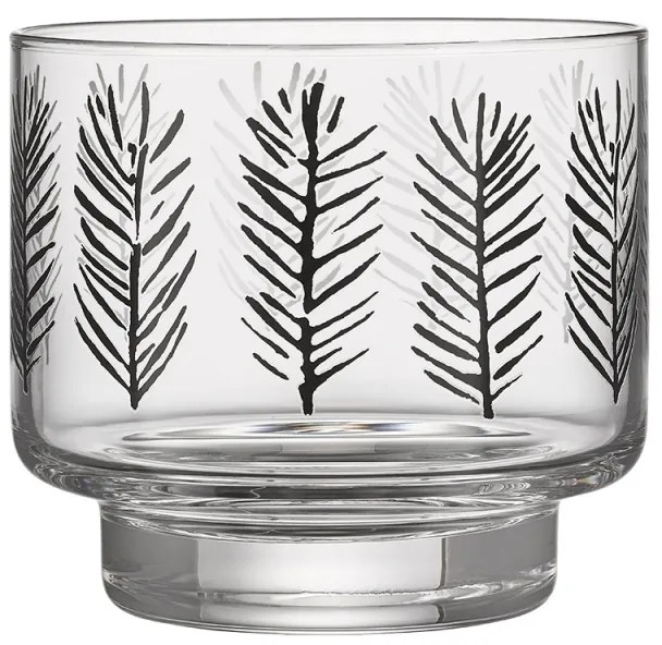 Svietnik Spruce