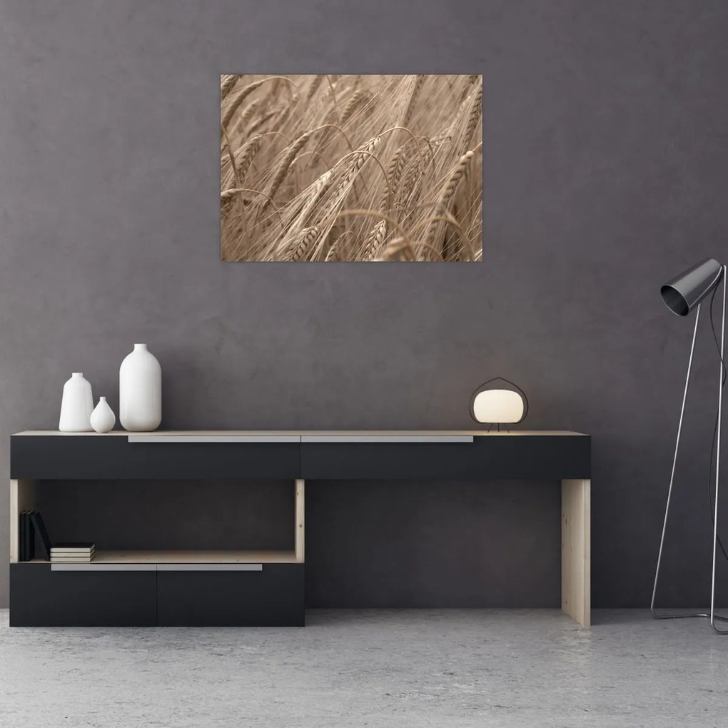 Sklenený obraz - Zlaté pole (70x50 cm)
