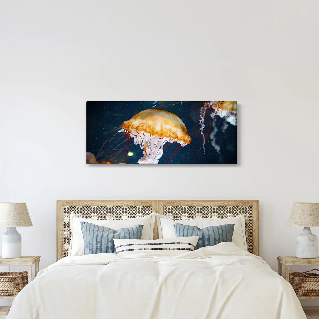 Obraz medúzy (120x50 cm)