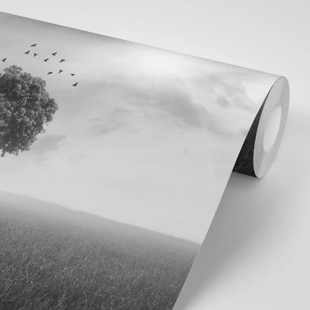 Tapeta osamelý čiernobiely strom na lúke - 150x100