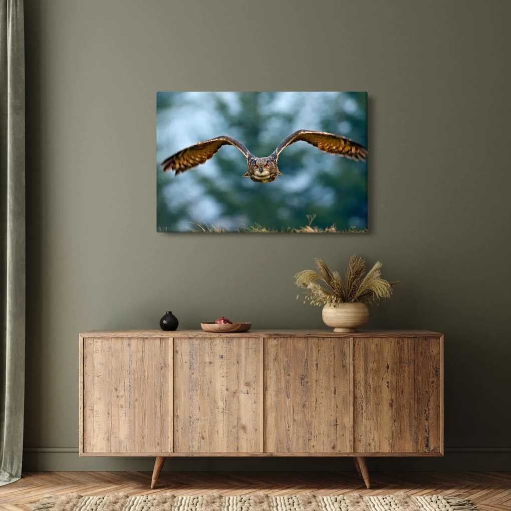 Obraz - Sova pri lete (90x60 cm)