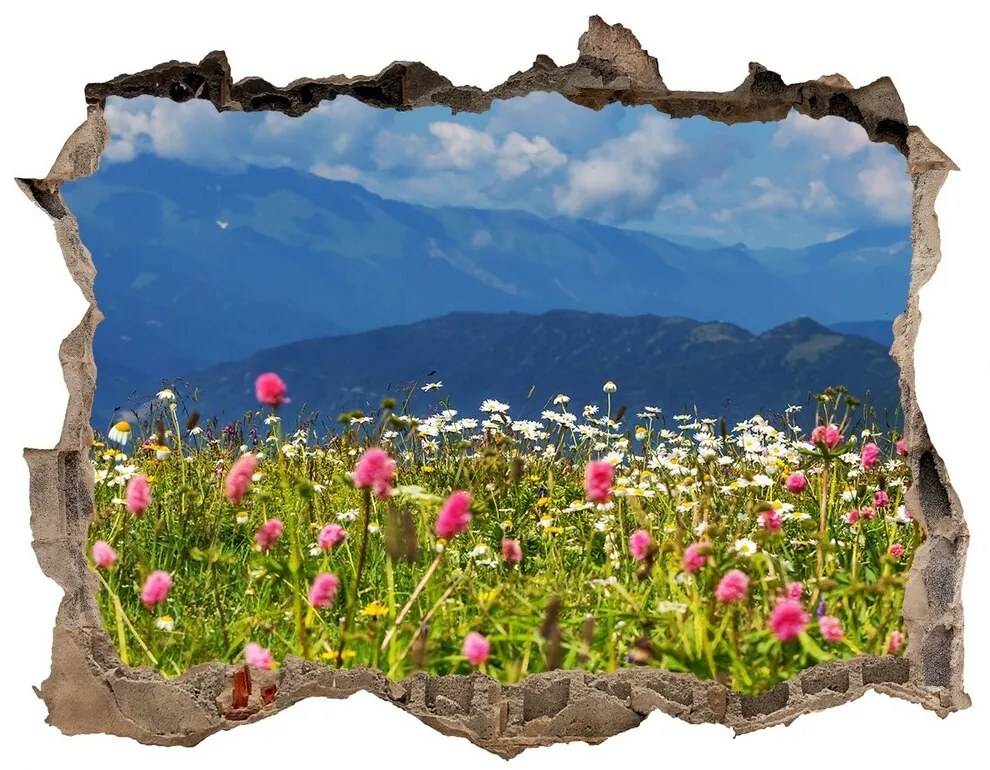 Nálepka fototapeta 3D výhled Lúka v horách nd-k-80010244