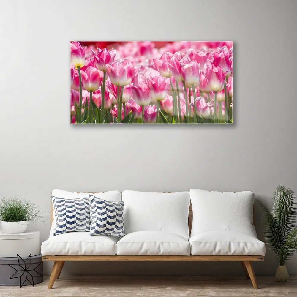 Skleneny obraz Tulipány kvety príroda 120x60 cm