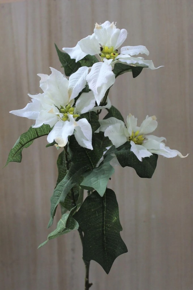 Biela kytica vianočnej ruže 68cm