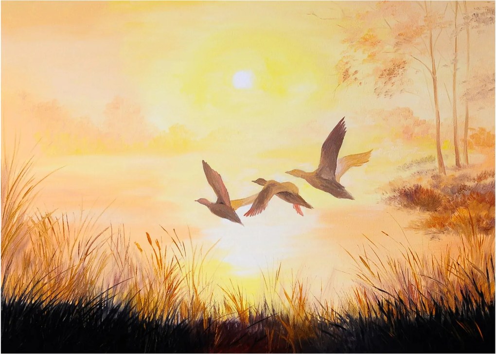 Sklenený obraz - Žeriavy pri západe slnka (70x50 cm)
