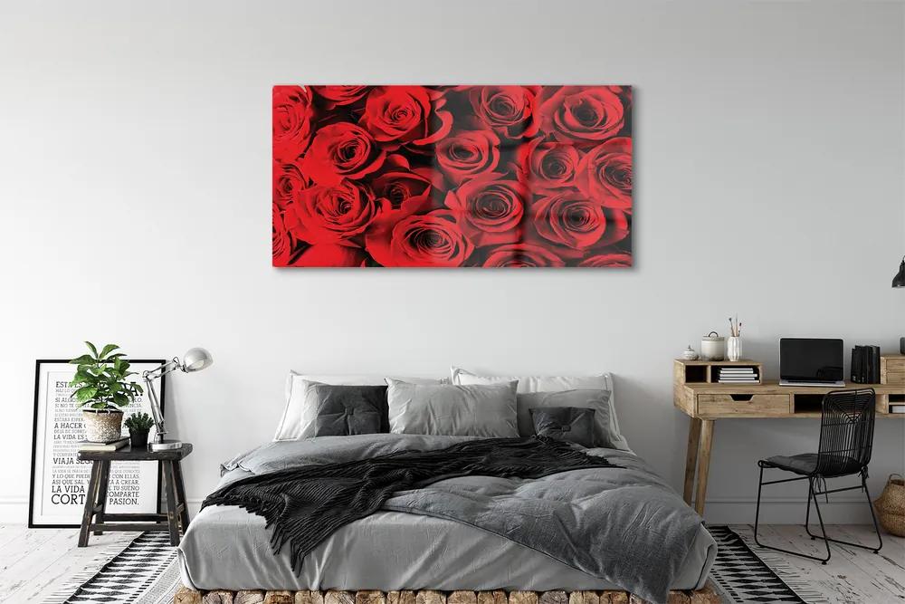 Obraz plexi Ruže 140x70 cm