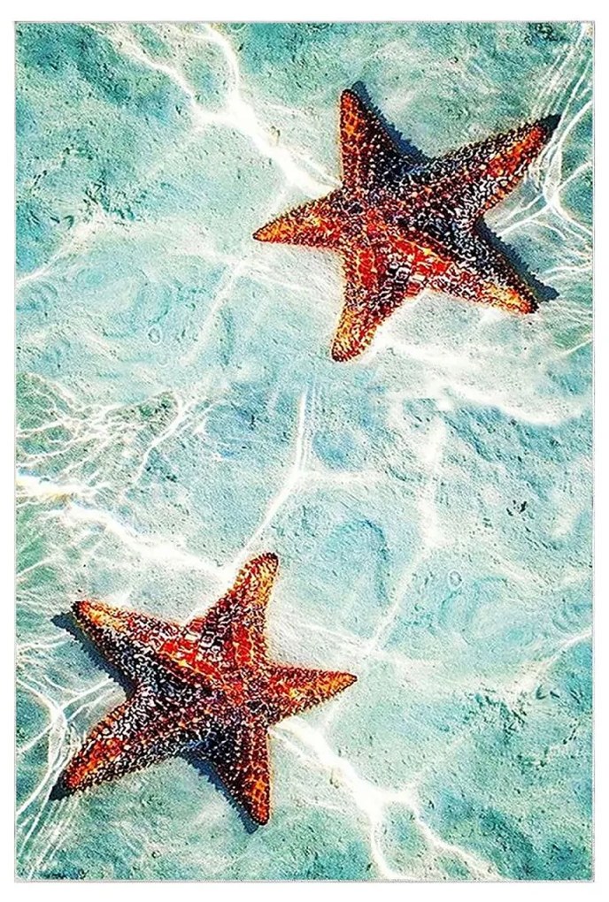 Súprava 2 kusov kúpeľňových predložiek SeafishBlue modrá