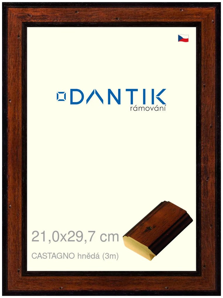 DANTIK rám na obraz 21x29,7 | CASTAGNO hnědá (Sklo Čiré)