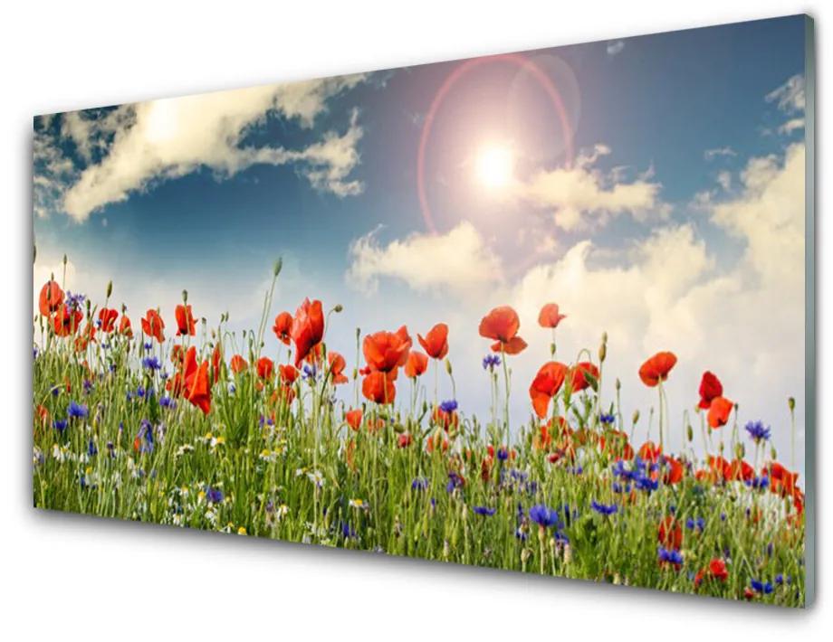 Skleneny obraz Lúka kvety slnko príroda 100x50 cm