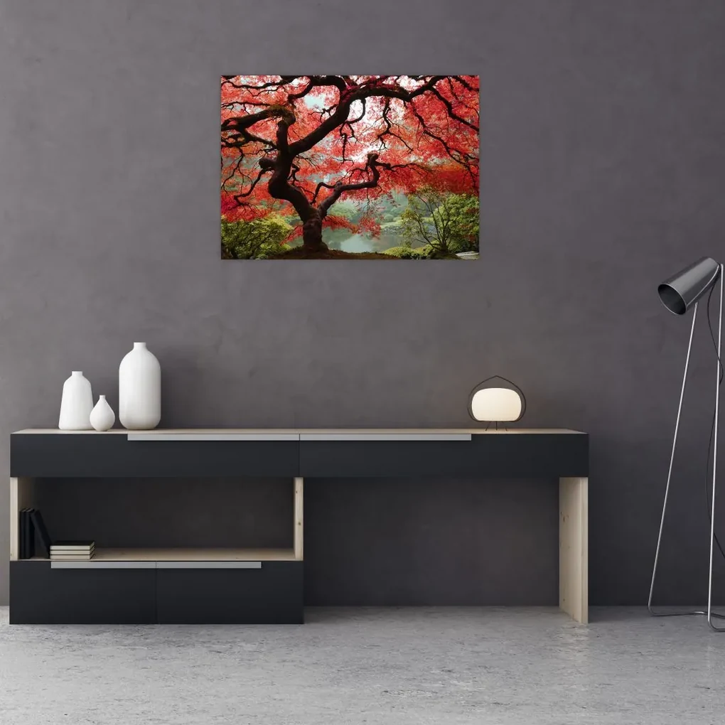 Sklenený obraz červeného japonského javora, Portland, Oregon (70x50 cm)