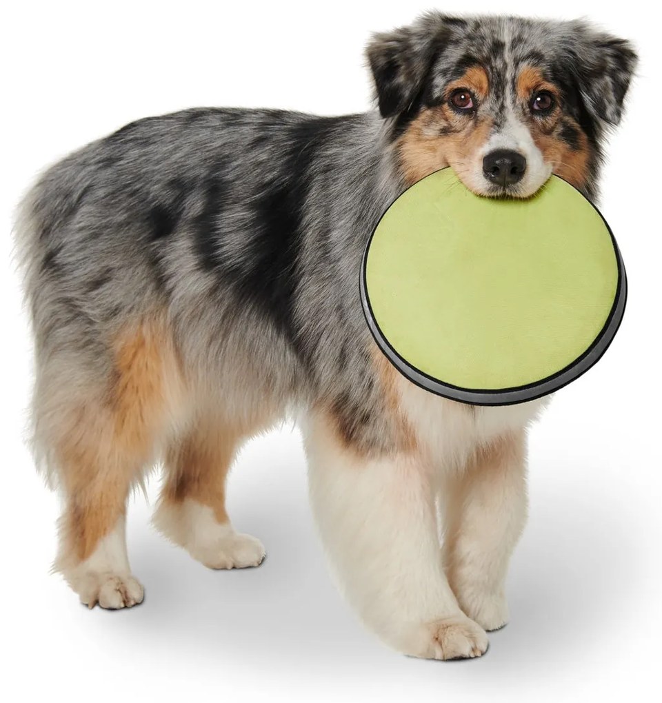 Lietajúci disk pre psy
