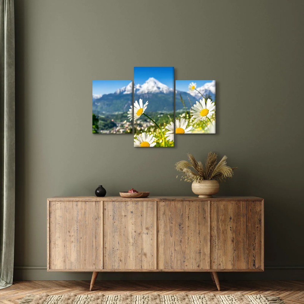 Obraz - Jar v Alpách (90x60 cm)