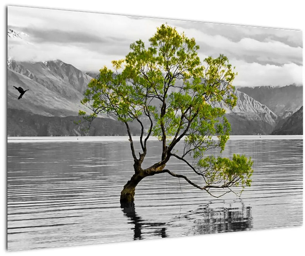 Obraz stromu uprostred jazera (90x60 cm)