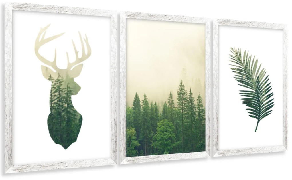 Gario Sada plagátov Divá príroda - 3 dielna Farba rámu: Zlatá, Veľkosť: 99 x 45 cm