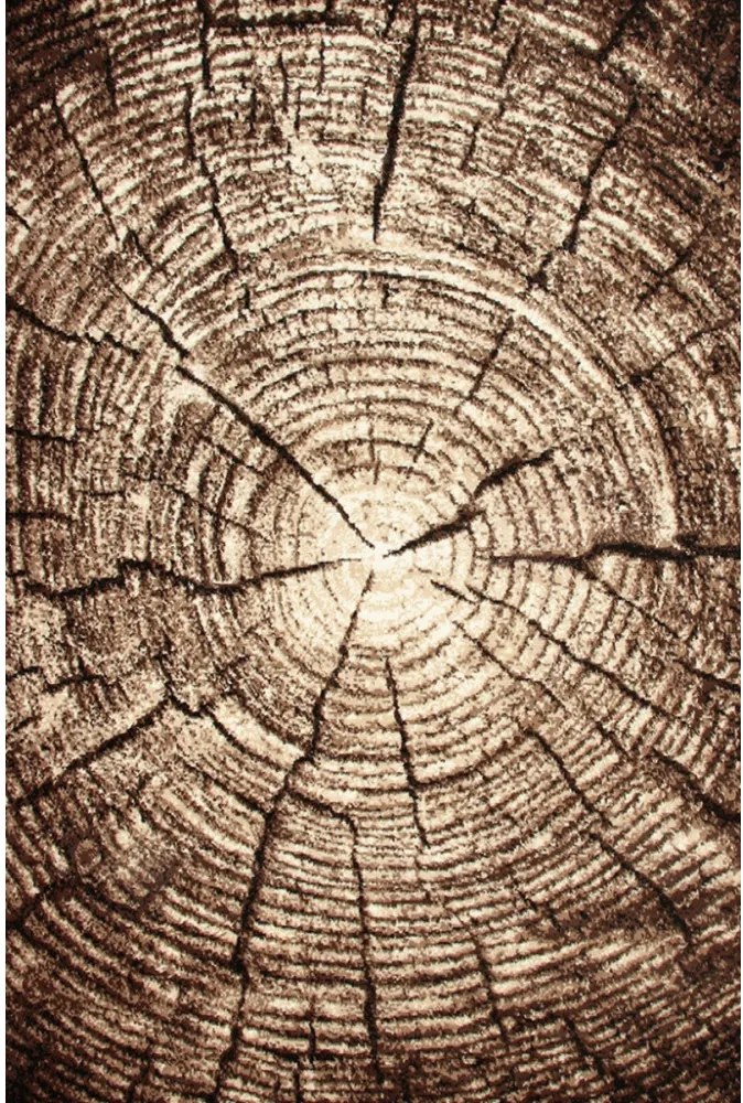 Kusový koberec PP Strom hnedý, Velikosti 80x150cm