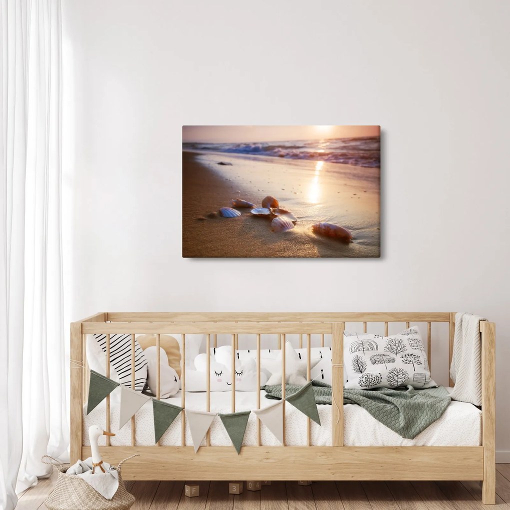 Obraz - Mušle (90x60 cm)