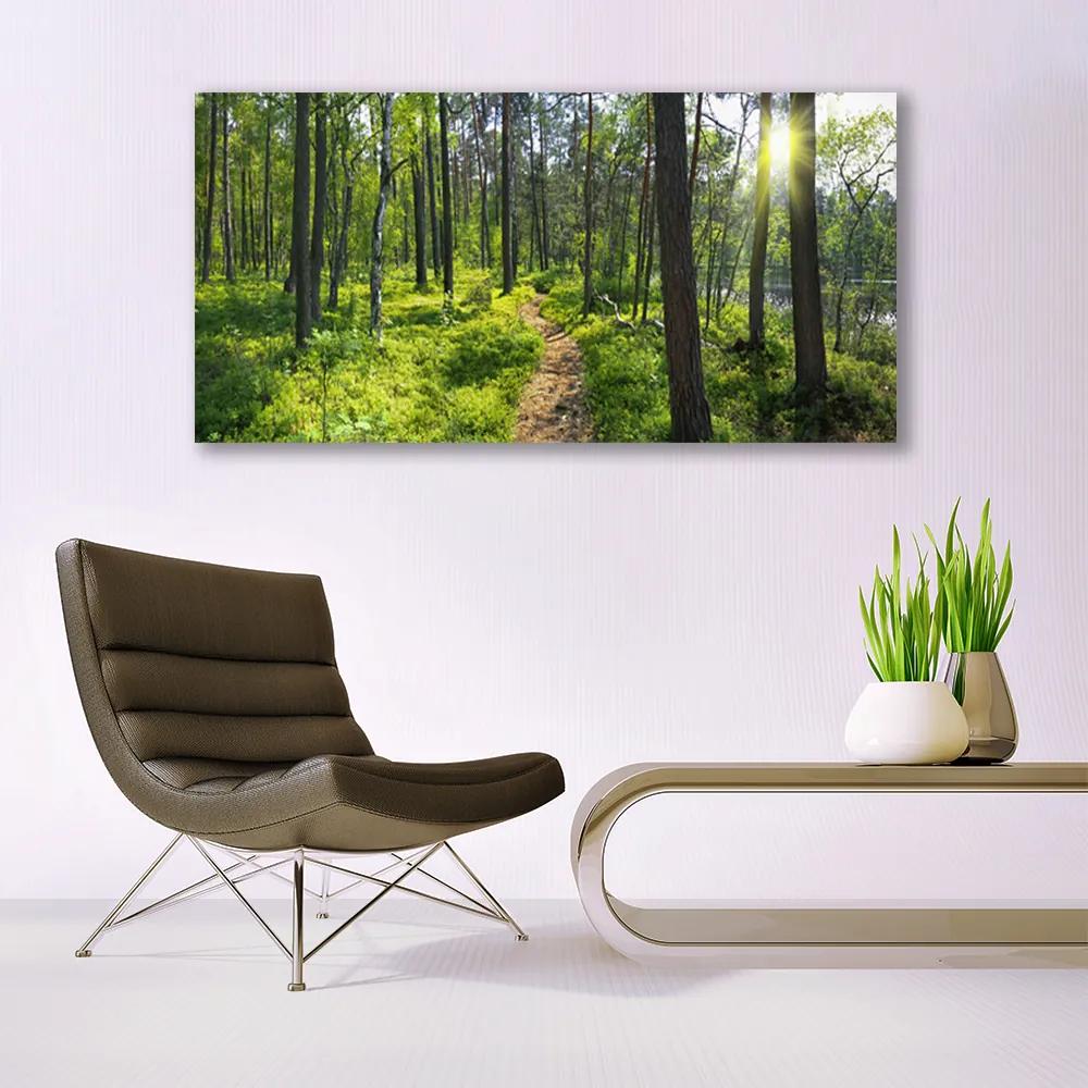 Obraz plexi Les chodník cestička príroda 120x60 cm