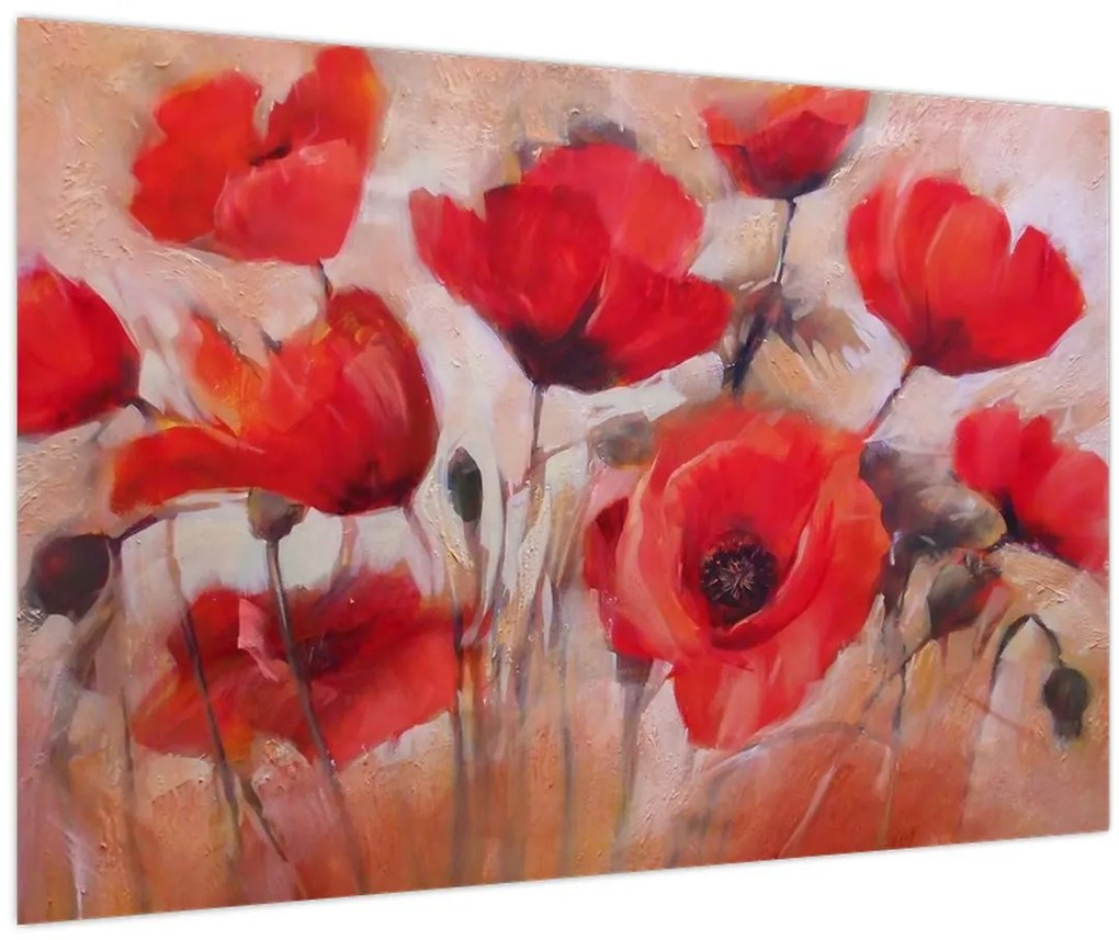 Obraz - Vlčie maky (90x60 cm)