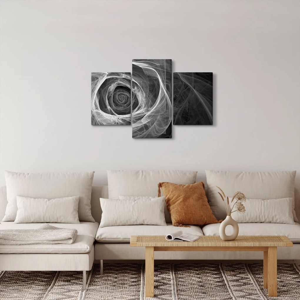 Obraz - Abstraktné ruže čiernobiela (90x60 cm)