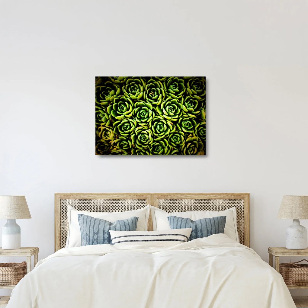 Sklenený obraz skalníc (70x50 cm)