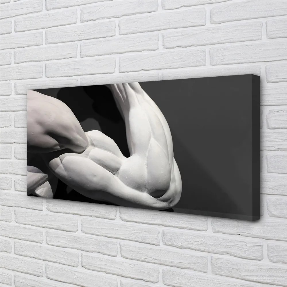 Obraz canvas Sval black and white 125x50 cm