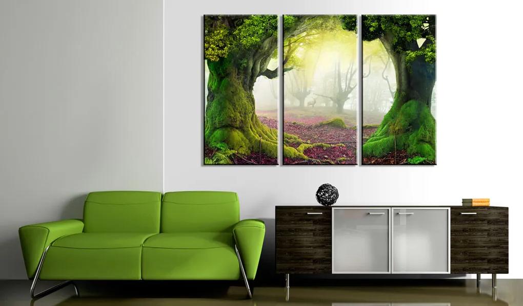Artgeist Obraz - Mysterious forest - triptych Veľkosť: 60x40, Verzia: Standard