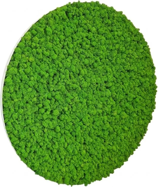 Machový obraz kruh v tenkom bielom ráme, Priemer machového obrazu ∅ 60cm